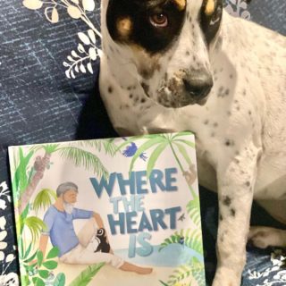 Posted @withregram • @dymockscanberra Scarlett’s face when I told her I wouldn’t read the gorgeous tale of Dindim the penguin for the 5th time in a row! This beautiful book by our superstar locals, author @irma.gold & illustrator @oh.susannah.illustration is a must for every child’s bookshelf! @ekbooksforkids #dymockscanberra #booklovers #welovebooksanddogs #wheretheheartis #picturebook #picturebooks #picturebookillustration #picturebooksofinstagram #picturebooksaremyjam #kidsbooks #kidsofinstagram #reading #kidsbooksofinstagram #penguin #penguins #riodejaneiro #brazil