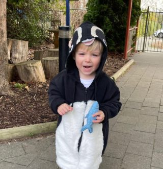 Last day of Book Week and how gorgeous is this little Dindim from my book Where the Heart Is! Kudos to his super talented mum for this original creation complete with sardine snack. Might be tough for Joao to tell this Dindim apart from the real one! Hope everyone is having a glorious bookish day x

#wheretheheartis #penguin #penguinlove #penguinbooks #kidlit #picturebook #bookweek @oh.susannah.illustration @ekbooksforkids