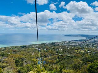 Cable car-ing with the small one. He loved every second. Everything high is prep for when Santa delivers him a dragon at age 15 😬

#arthursseat #cablecar #kiddays #morningtonpeninsula