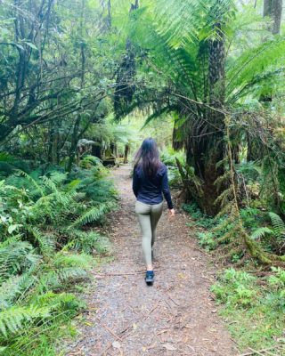 Having such a beautiful day of walking, drinking, eating and laughing with @s1m0ne_22. And that green 💚

#thedandenongs #walking #walkingadventures #melbournelife