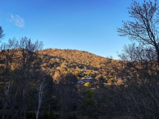 Zero degrees right now but at least it’s pretty. Morning!

#myview #balconyview #canberraliving #canberralife #landscape