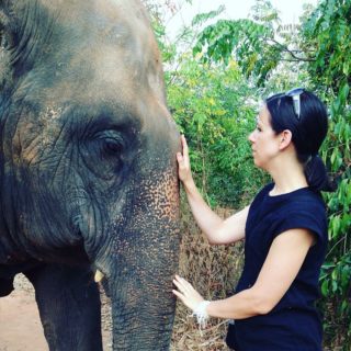 It’s National Thai Elephant Day! I’m so in love with these beautiful creatures that I wrote a book for adults *and* a book for kids to shine a light on their plight. So wish I was in Thailand today. If you’re travelling to Thailand or any country with animal tourism please do your research thoroughly to avoid supporting abuse and exploitation ❤️

@midnightsunpublishing @walkerbooksaus @elephantnaturepark @saveelephantfoundation @surinproject #elephant #elephantlove #elephantlover #saveelephants #saveelephantfoundation