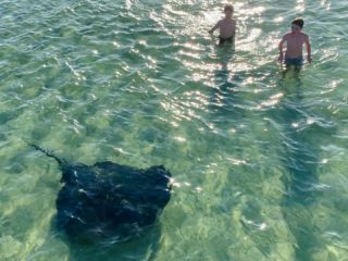 The boys making friends with a beautiful big ray 🖤

#beachlife #beachdays #summertime #stingray #oceanlife @doddsnick